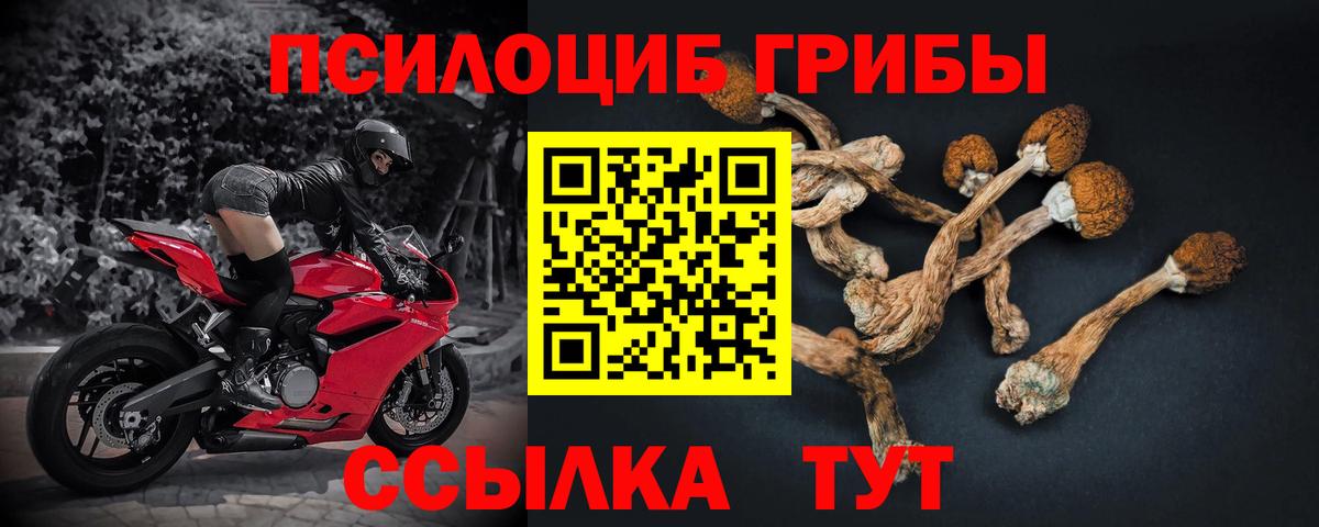 Кунгур  Галлюциногенные грибы ЛСД  Вход с VPN 